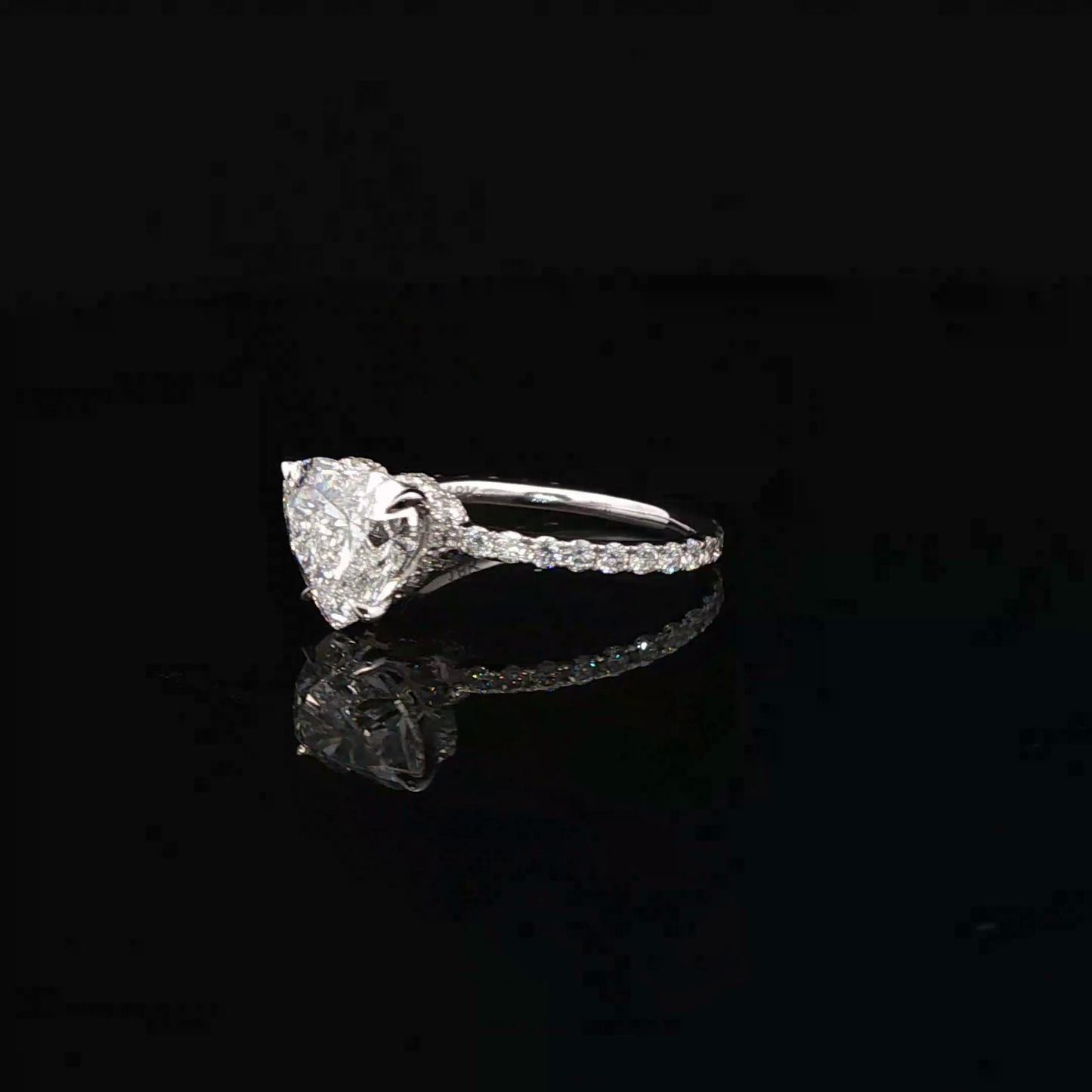 IGI 3.01ct D VS2 - 11,500$ HKD