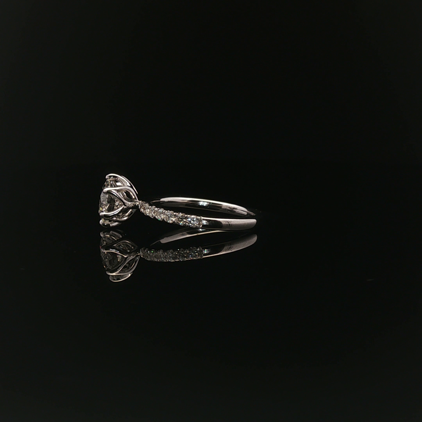 IGI RD 2ct 18k/W