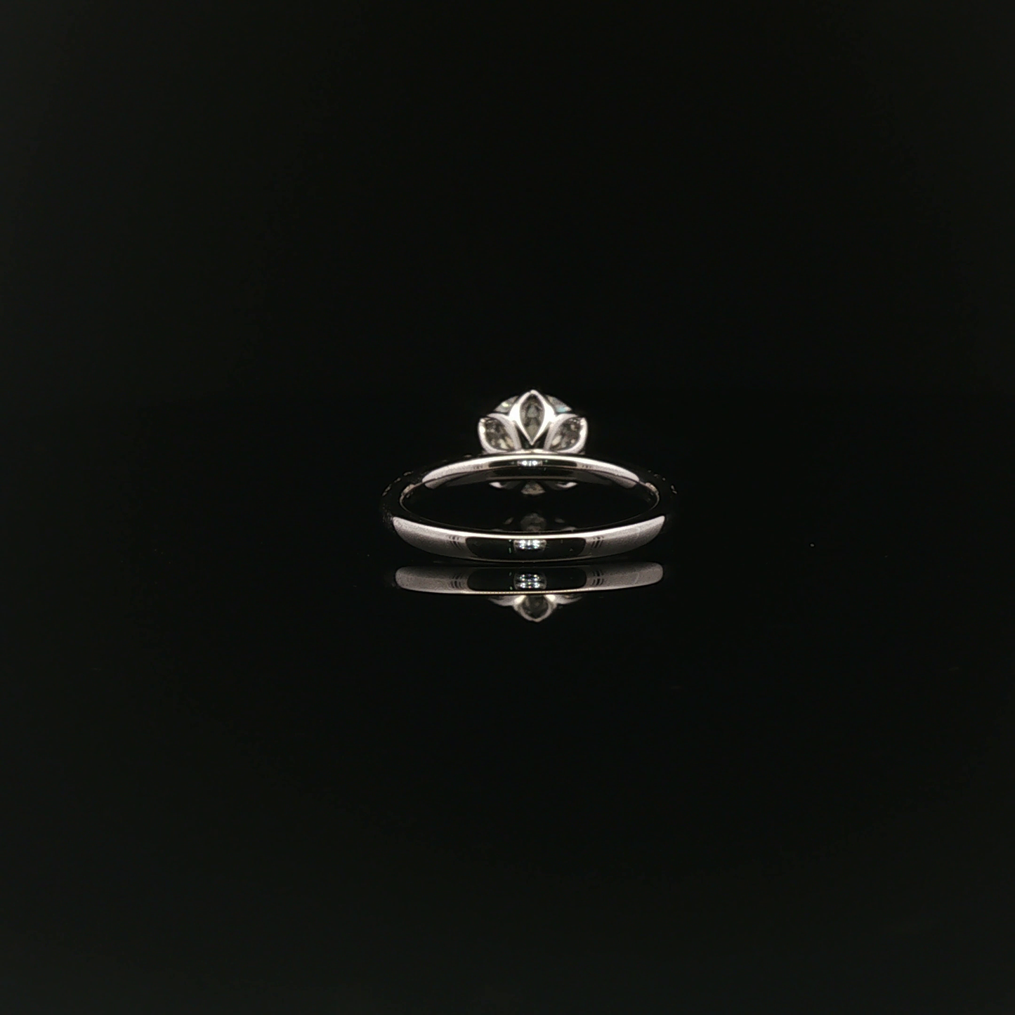 IGI RD 2ct 18k/W